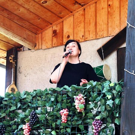 Nadia Guesthouse Mestia Bagian luar foto