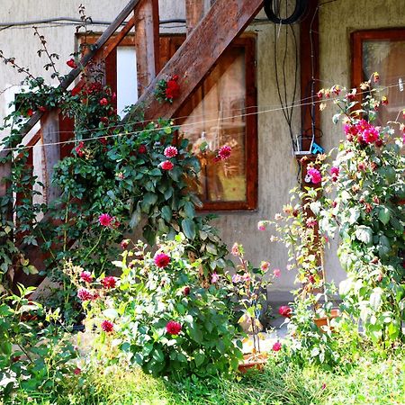 Nadia Guesthouse Mestia Bagian luar foto