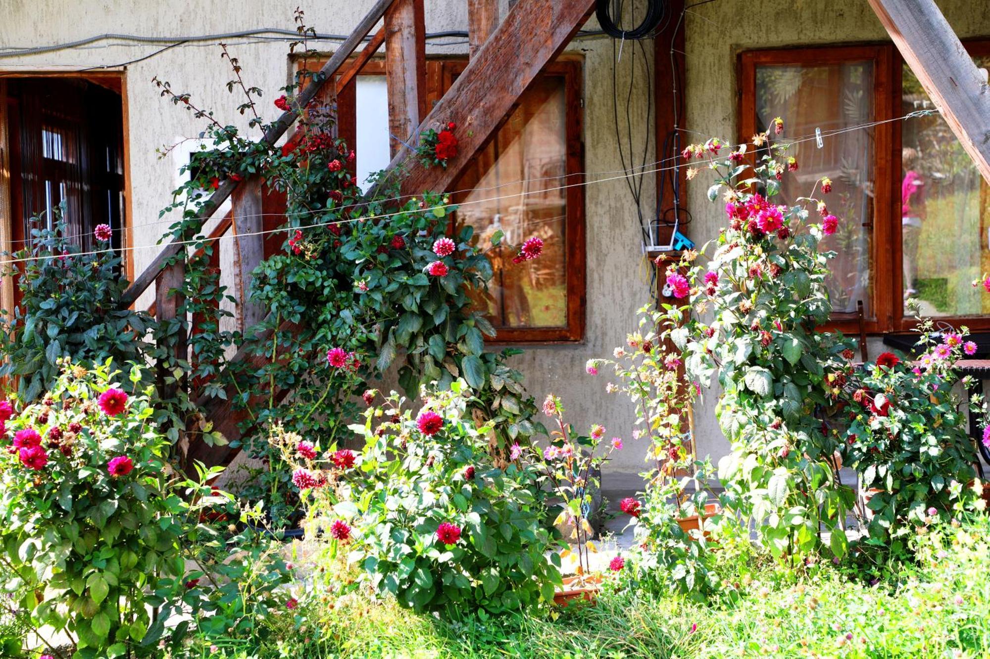 Nadia Guesthouse Mestia Bagian luar foto